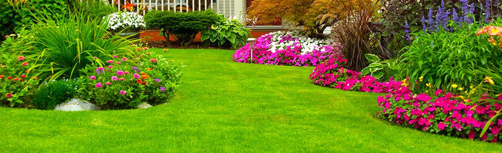 Go-Green-Masthead Go Green Professional Landscaping | Rock Hill, SC | landscaped yard